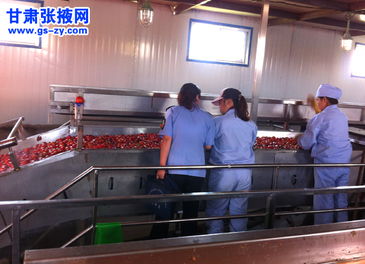 甘州區(qū)食藥監(jiān)管所強(qiáng)化食品生產(chǎn)與銷售環(huán)節(jié)專項(xiàng)檢查