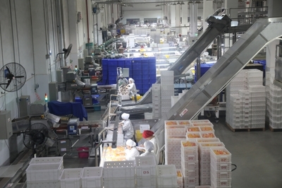 遂寧 以“智改數(shù)轉(zhuǎn)”為傳統(tǒng)產(chǎn)業(yè)“換芯”，驅(qū)動(dòng)食品銷(xiāo)售升級(jí)